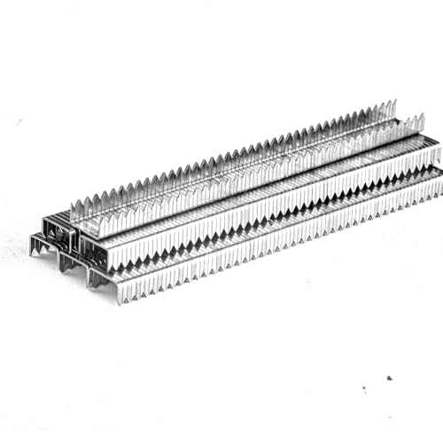 5/16 Inch Length Heavy Duty T50 Staples 304 Stainless Steel 2000 Pcs - size: 5/16 Inch 2000-Count