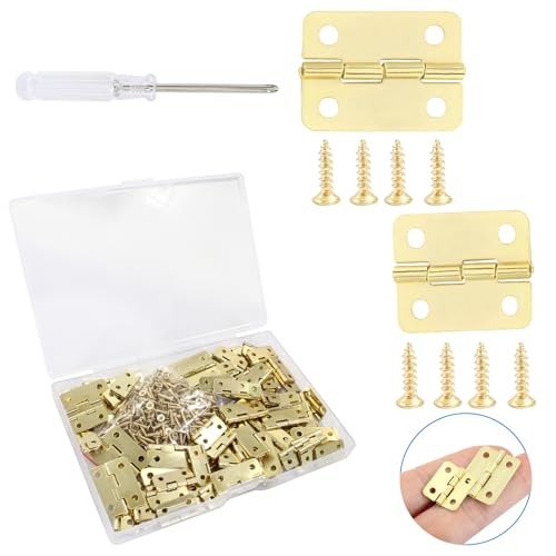 Biaungdo 80 Pcs Metal Mini Hinges, 18x16mm & 24x18mm, Golden - color: Yellow, size: 2 Size,80Pcs