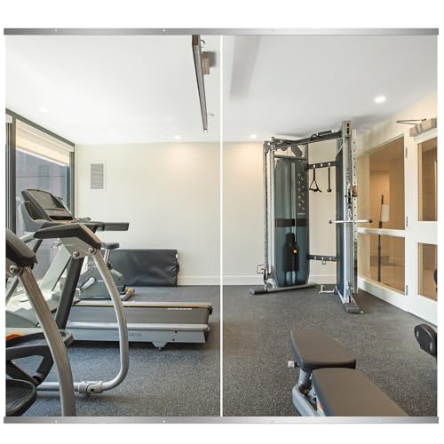 Delma Home Gym Mirror, 54''x30''x2PCS Silver - size: 54''x30''x2PCS