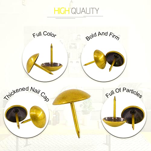 30mm Gold Antique Upholstery Nails, Round Large-Headed Nail, Furniture Tacks for Furniture Cork Board Wooden Furniture Decorative DIY Projects 20Pcs (Gold, 1-3/16")