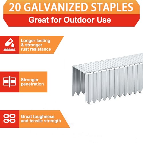 20 Guage Galvanized T/50 Staples with Teeth, 1/4":10000pcs - size: 1/4"---10000Pcs
