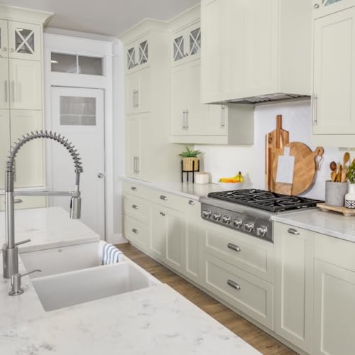 Giani Nuvo Cabinet Paint (Antique White) Quart - color: Antique White, style: Quart