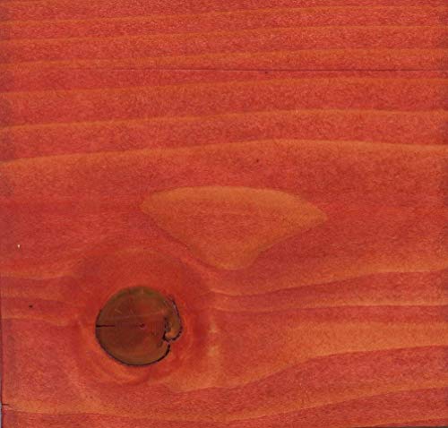 PureColor - Wood Stain and Finishes - Eco-Friendly, Vivid Colors, Deep Pigment, Ready to Use, Water-Based, Low VOC, No Odor, & Easy Clean-Up. 10 ml Sample Pen, Red Special - color: Red Special, size: 0.34 fl oz