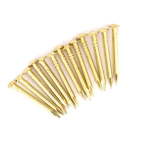 HEEPDD 100Pcs Brass Escutcheon Tacks Pins, Round Head Brad Nail 18mm Length - color: 18mm Length