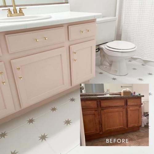 BB Frosch Paint Transformer – Chalk Mineral for Latex & Acrylic Paint, For Kitchen Bathroom Cabinet Countertop Furniture Tile Floor Wood Fabric Appliance Door Counter, No Sanding or Priming, 4 Gallon - size: 48 Ounce (Pack of 1)