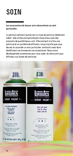 Liquitex Professional Spray Paint, 12-oz (400ml), Burnt Sienna - color: Burnt Sienna, size: 12 Ounce (Pack of 1)