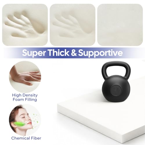 Upholstery Foam 1x24x72 in, High Density Cushion Replacement for Couch