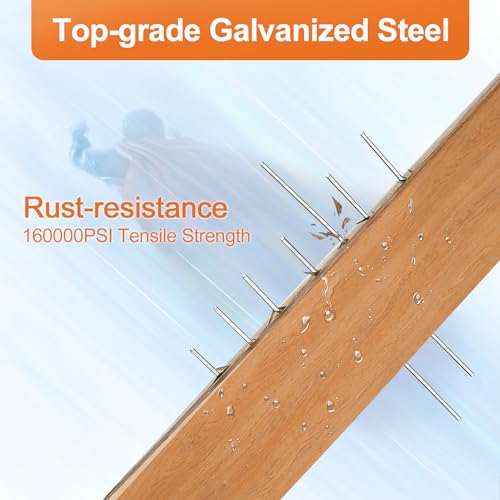 PINOZE 4200-Count 18 Gauge 1/4" Narrow Crown Staples (1-1/2" 1-1/4" 1" 3/4" 1/2") & 18GA Brad Nails (2" 1" 5/8"), Heavy Duty Galvanized Upholstery Staple for Pneumatic/Electric Stapler Gun/Brad Nailer
