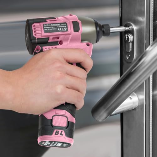 140Nm 17V Brushless Impact Screwdriver with 2 Batteries (Pink) - color: Pink, size: 17V Brushless Screwdriver