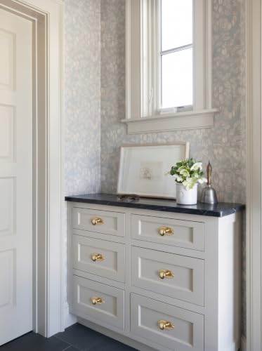 6Pack Champagne Bronze Cabinet Knobs with Backplate Drawer knobs - color: Champagne Bronze, style: Keelplate