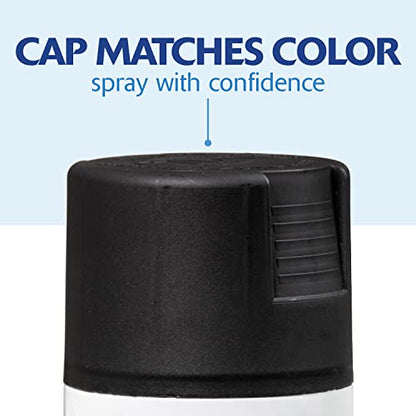 Rust-Oleum 346951 Painter's Touch 2X Ultra Cover Spray Paint, 12 oz, Satin Canyon Black (Pack of 4) - color: Satin Canyon Black, size: 12 Ounce (Pack of 4)