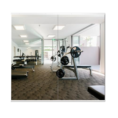 Delma Gym Mirrors for Home Gym, 54"x30" 2PCS Large Full Body Mirror, Tempered Glass Frameless Wall-Mounted Shatterproof for Workout, Yoga, Garage - size: 54'' x 30'' x2PCS