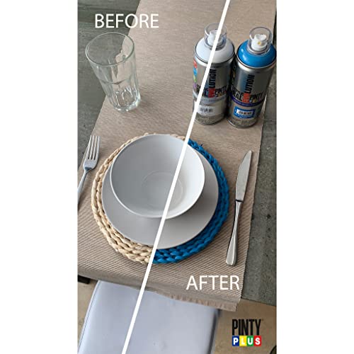 PINTY PLUS Water Based Spray Paint, 11oz, Low GWP Propellant, Low Odor, Matte Varnish. Wood, Metal, Glass, Ceramics, Terra Cotta, Plastic, Pack of 6 - color: Matte Varnish