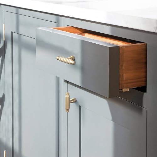 Goo-Ki 6 Pack Champagne Bronze Cabinet T-Bar Knob - Modern Vertical Groove Textured Grip for Kithcen Drawers & Cupboard - color: Champagne Bronze