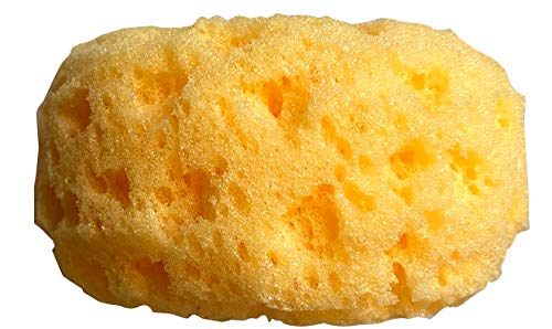 Knockdown Texture Sponges - Drywall, Ceiling Repair, 2 Pack
