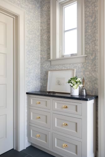 6Pack Champagne Bronze Cabinet Knobs with Backplate Drawer knobs - color: Champagne Bronze, style: Crown Crest