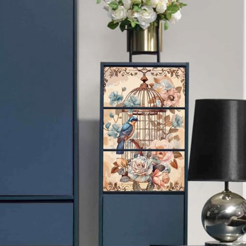 Peacoblue Vintage Birdcage Rub On Transfers for Furniture Craft 6"x12" - style: Vintage Birdcage