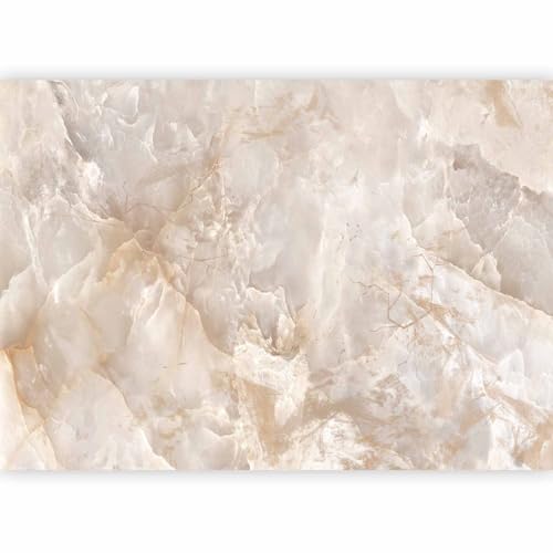 artgeist Peel and Stick Wall Mural, Living Room Decor Stone Wall 193x138 in - color: #04, size: 193"Wx138"H Self-Adhesive