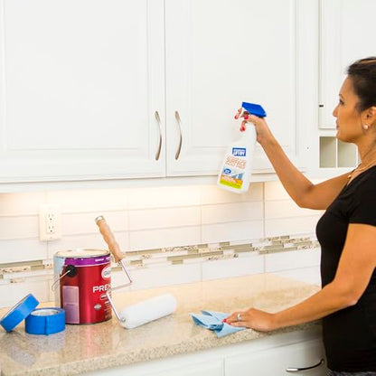 Lift Off Surface Cleaner & Paint Prep, 22 fl oz, 42022 (Pack of 6) - size: 22 Ounce (Pack of 6)
