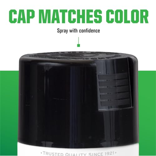 Rust-Oleum Lacquer Black Spray Paint - color: Black, size: 11 Ounce (Pack of 1)