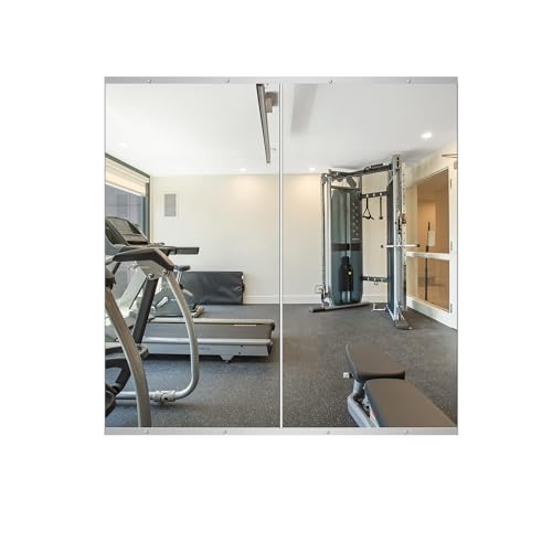 Delma Home Gym Mirror, 48"x24"x2PCS, Silver - size: 48''x24''x2PCS