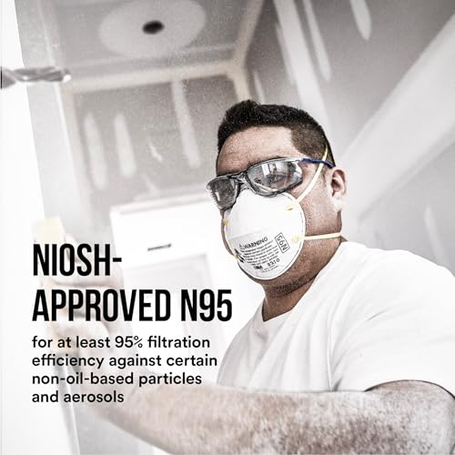 3M N95 Particulate Respirator 8210, Disposable Respirator, 2-Pack