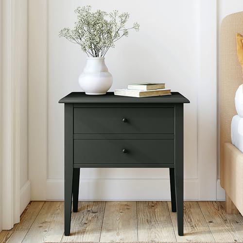 Frenchic Ultra Matte No-Prep Chalk Furniture Paint, Black Forest - color: Black Forest