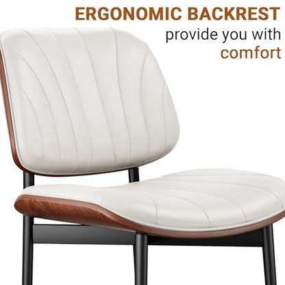 REONEY Dining Chairs Set of 4, Mid-Century Modern Kitchen Chairs, Off-White - color: Off-white Shell Strips