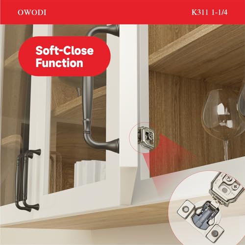 20 Pack Soft Close Cabinet Hinges for Face Frame Doors, 1-1/4 Inch Overlay Concealed Hinges, 105° 3-Way Adjustable, 35mm Cup, Nickel Finish with Screws - size: 1-1/4 inch Overlay