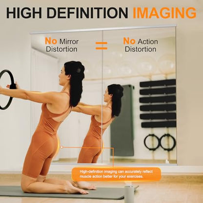 Delma Home Gym Mirror, 50''x25''x2PCS Silver Wall Mounted - size: 50''x25''x2PCS
