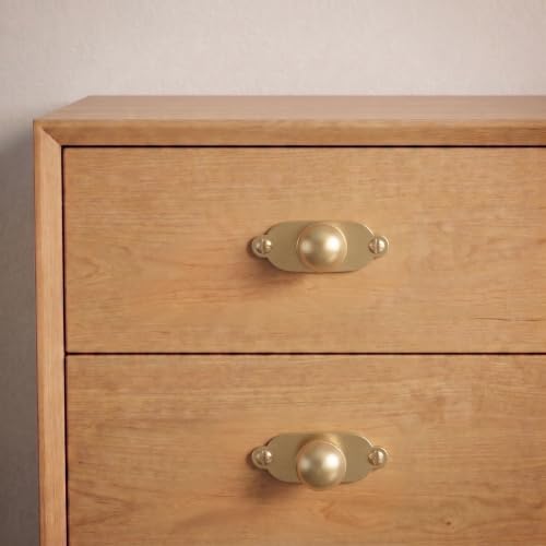 Goo-Ki Cabinet Knobs with Backplate, Champagne Bronze, 6 Pack - color: Champagne Bronze, style: Industrial Rivet Style