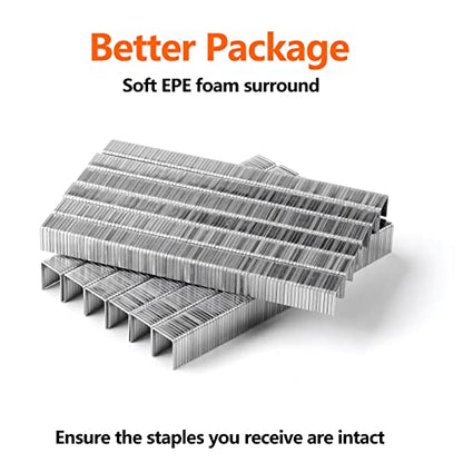 Heavy Duty T50 Staples 1000-Count 2 Sizes 304 Stainless Steel - size: 2 Sizes-1000 pcs