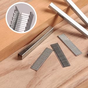 Heavy Duty T50 Staples 5400-Count 5 Sizes Galvanized - size: 5/16", 3/8", 1/2", 9/16", 5/8" - 5400 Count