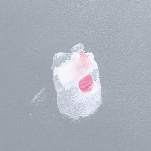 DAP DryDex Dry Time Indicator Spackling, Pink/White, 8 Oz (7079812328)
