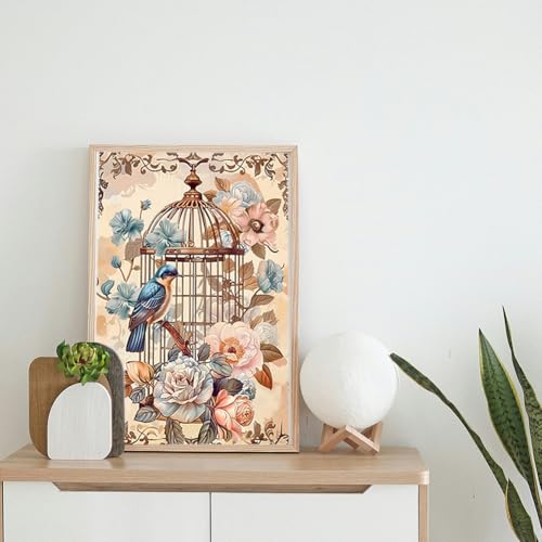Peacoblue Vintage Birdcage Rub On Transfers for Furniture Craft 6"x12" - style: Vintage Birdcage