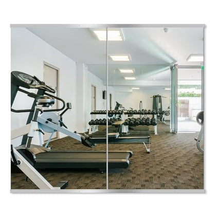Delma Home Gym Mirror, 48''x28''x2PCS Silver Wall Mounted - size: 48''x28''x2PCS