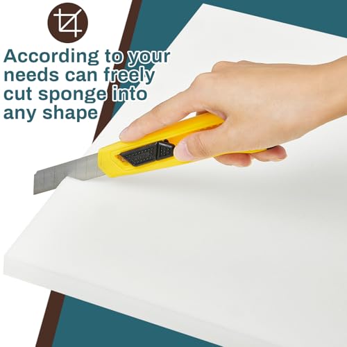Frienda 2 Pack 1" x 20" x 20" Upholstery High Density Foam Square White - color: White, size: 1" X 20" X 20", style: Square
