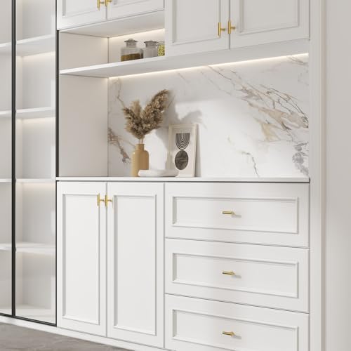 Goldenwarm 10 Pack Gold Cabinet Knobs Brushed Brass Cabinet Knobs, 2Inch - color: ‎Brushed Brass
