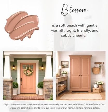 ALL-IN-ONE Paint by Heirloom Traditions, Blossom, Gallon - color: Blossom, size: 128 Fl Oz (Pack of 1)