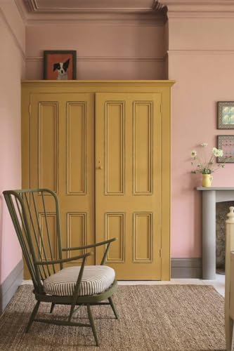 Annie Sloan Satin Paint (Carnaby Yellow, 25 Fl Oz/750 mL). Soft sheen for interior wood and metal. Self-leveling, all-in-one paint with no wax or lacquer required. - color: Carnaby Yellow