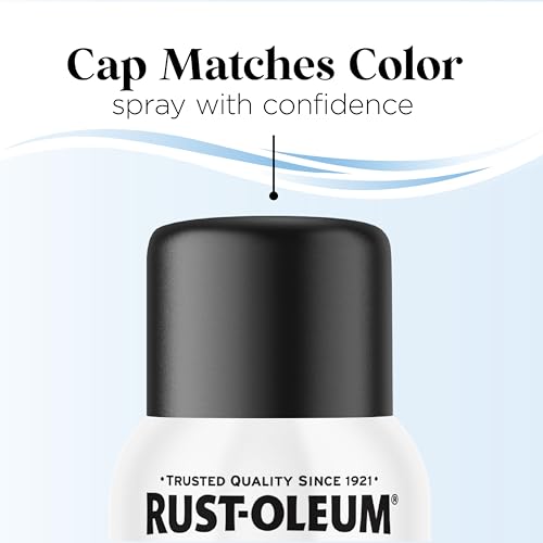 Rust-Oleum Low Odor Premium Spray Paint, Matte Blackout - color: Blackout, size: 11 Ounce (Pack of 6)