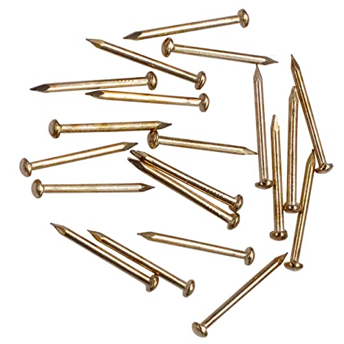 OMOTOOL Hardware Nail Assortment Kit (300pcs), Brass Plated Nails for Hanging Pictures (20MM)
