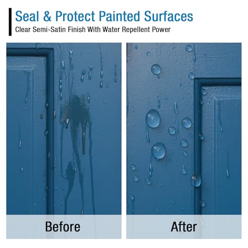 Rain Guard Paint Sealer Spray 16 oz | Ready to Use | Protects Painted Concrete, Wood, Stone | Silane/Siloxane Acrylic Waterproofer | UV Resistant | Fast Drying | Semi-Satin Finish - size: 16 oz
