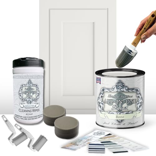 ALL-IN-ONE Paint, Get Started - Bone
