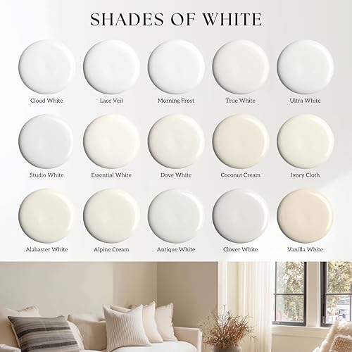 Evolve Interior Paint & Primer, Four Sheens, 1-Gallon & 5-Gallon, Designer Curated Color Palette – One-Coat Coverage, Excellent Hide, Low VOC, Low Odor, Washable Paint for Walls, Ceilings & Trim - Semi-Gloss Sheen (Balanced Beige, 1-Gallon (128 fl. Oz.))