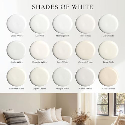 Evolve Interior Paint & Primer, Four Sheens, 1-Gallon & 5-Gallon, Designer Curated Color Palette – One-Coat Coverage, Excellent Hide, Low VOC, Low Odor, Washable Paint for Walls, Ceilings & Trim - Semi-Gloss Sheen (Balanced Beige, 1-Gallon (128 fl. Oz.))