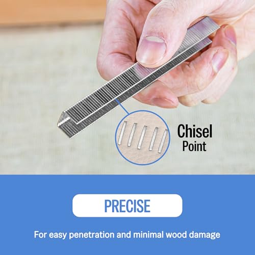 meite 20 Gauge 304 Stainless Steel Upholstery Staples, 1/2-Inch Crown with 1/2-Inch Leg Length, Heavy Duty Staples for Construction, Furniture, Crafts & DIY Projects (10 Boxes) - size: 1/2" (12 mm), style: 1 Case (10 Boxes)