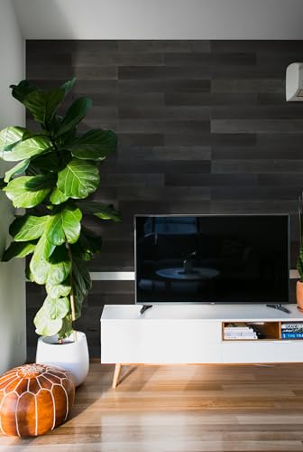 W&S 10pack Peel and Stick Pine Real Shiplap Wood Paneling, Dune Black Stick On Wall Planks for Bedroom,Living Room and RV, Adhesive Wood Panel for Interior Accent Wall, Wooden Backsplash (12.4Sq.Ft) - color: Dune Black