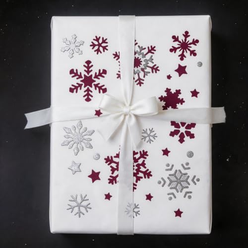 TIAMECH A4 Reusable Snowflake Stencil for Painting - color: Snowflake