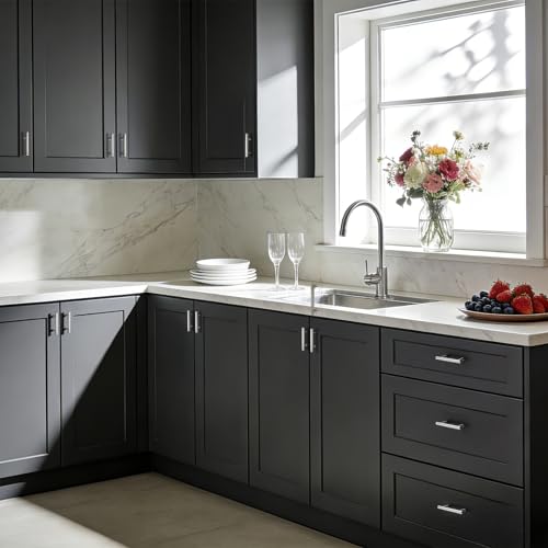 Gobrico 10 Pack 2-1/2" (64mm) Hole Center Cabinet Handles, Brushed Nickel Cabinet Pulls, Satin Nickel Stainless Steel Drawer Pulls, 4" Overall Length - color: Brushed Nickel, size: 2-1/2 Inch Hole Center